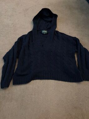 American Eagle Outfitters Navy V-Neck Cable Knit Hooded Sweater